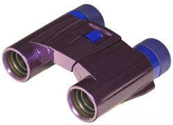 Бинокль Kenko Ultra View 8-21 DH (Purple)